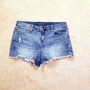 Calvin Klein Cutoff Jean Shorts